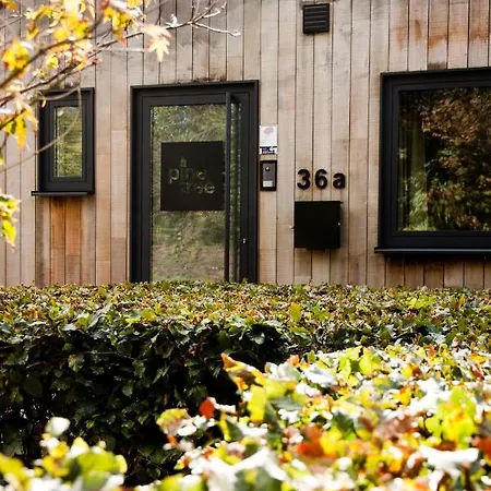 Pine Tree Holiday home