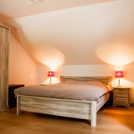 Pine Tree Herbeumont